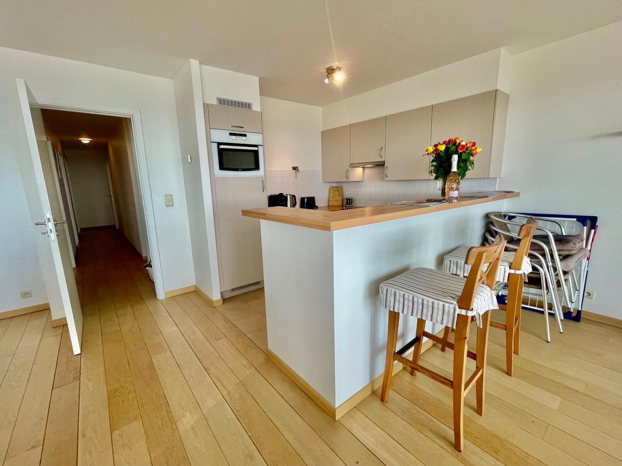 3Br Zeedijk Apartment Ocean View ブランケンベルヘ エクステリア 写真